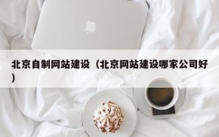 昌都北京自制网站建设（北京网站建设哪家公司好）